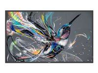 Philips 43BDL3550Q - Classe de diagonale 43" (42.5" visualisable) - Q-Line écran LCD rétro-éclairé par LED - signalisation numérique - Android - 4K UHD (2160p) 3840 x 2160 - LED à éclairage direct 43BDL3550Q/00
