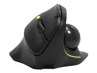 PORT Connect Professional - Souris verticale - avec boule de commande - ergonomique - pour droitiers - optique - 5 boutons - sans fil - 2.4 GHz, Bluetooth 3.0, Bluetooth 5.0 - récepteurs sans fil USB / USB-C 900719