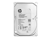 HP Enterprise - Disque dur - 2 To - interne - 3.5" - SATA - 7200 tours/min - pour Workstation Z2 G5, Z2 G8, Z2 G9 (SFF, tour), Z4 G5 2Z274AA