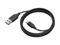 Jabra - Câble USB - 24 pin USB-C (M) pour USB type A (M) - USB 3.0 - 2 m - pour PanaCast 50, 50 Room System 14202-10