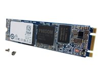 QNAP - SSD - 256 Go - interne - M.2 2280 - SATA 6Gb/s - pour QNAP HS-453, QBoat Sunny, TBS-453DX M.2, TS-1277, 453, 473, 677, 877, TVS-473, 673, 873 SSD-M2080-256GB-A01