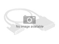 Broadcom - Câble interne SAS - Slim SAS (SFF-8654) (M) pour U.2 (SFF-8639) - 1 m 05-60006-00